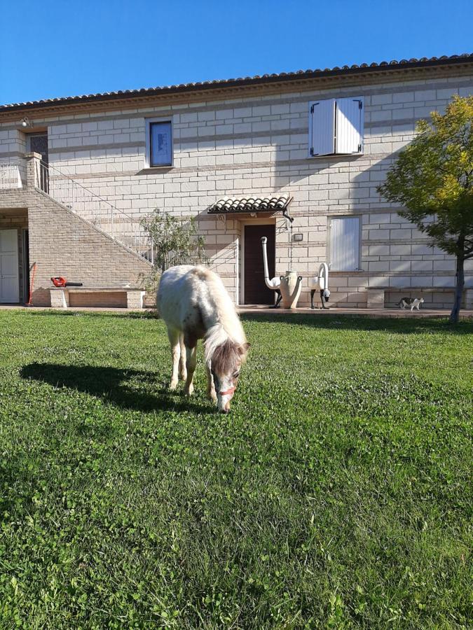 Le Due Sorelle Villa Ancona Exterior photo